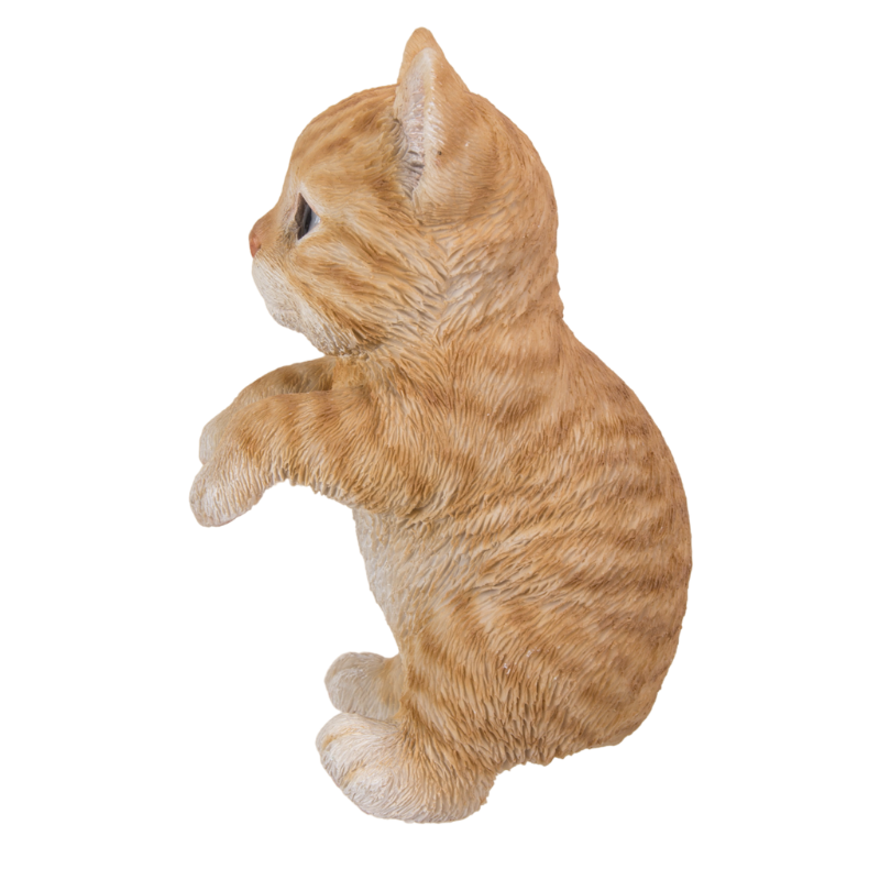 縁飾り 茶トラ猫 | アニマル雑貨・オーナメントの卸サイトWooBia